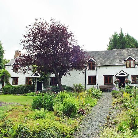 Glencoed B&B Рексем Экстерьер фото