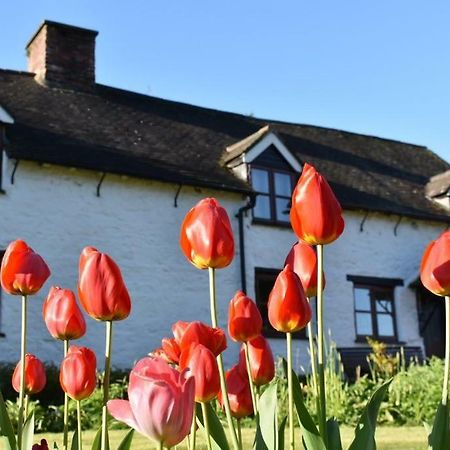 Glencoed B&B Рексем Экстерьер фото