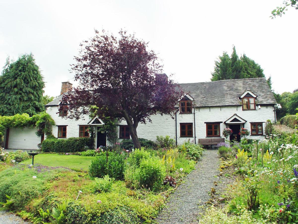 Glencoed B&B Рексем Экстерьер фото