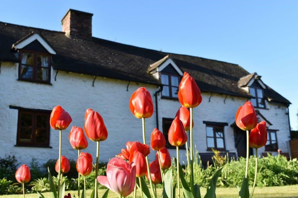 Glencoed B&B Рексем Экстерьер фото
